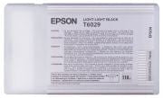 EPSON INK T6029 Light Light Black Ink Cartridge - 110ml